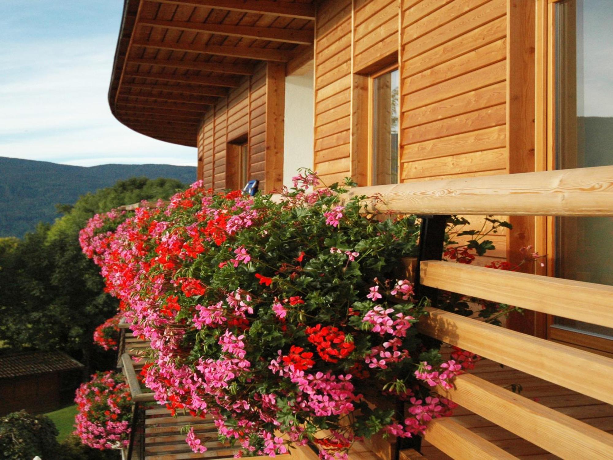 Hotel Dolomitenblick Terenten Exterior foto
